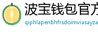 波宝钱包官方下载